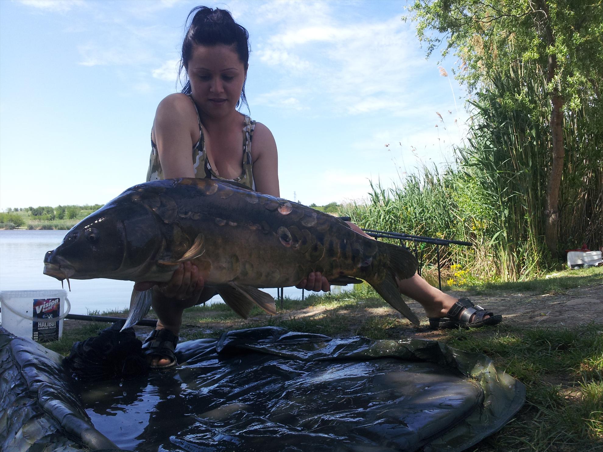 Prima Partida 2013 - Tancabesti Vaci 0 - 20130512141237.jpg